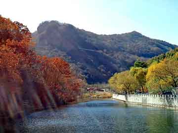 澳门二四六天天彩图库，永嘉网站建设